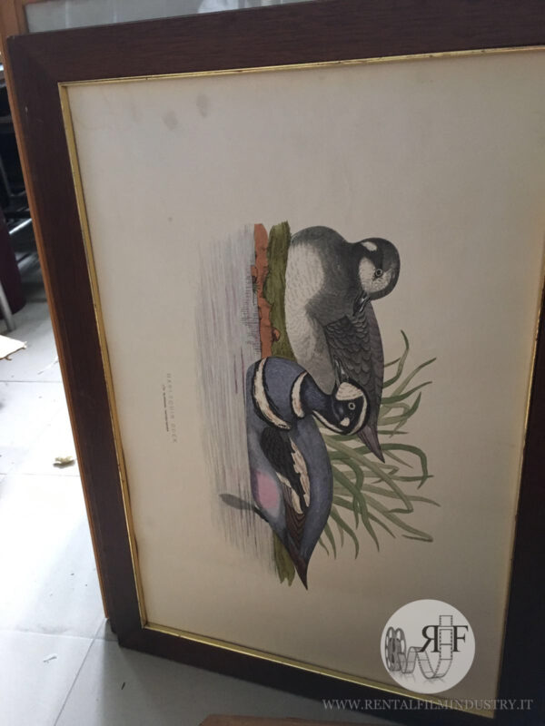 Quadro Vintage