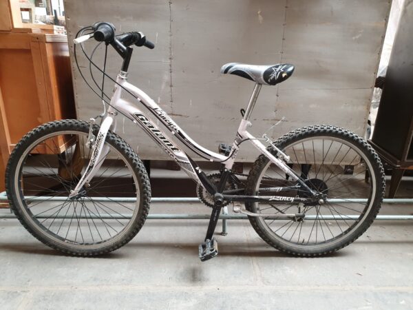 Bicicletta